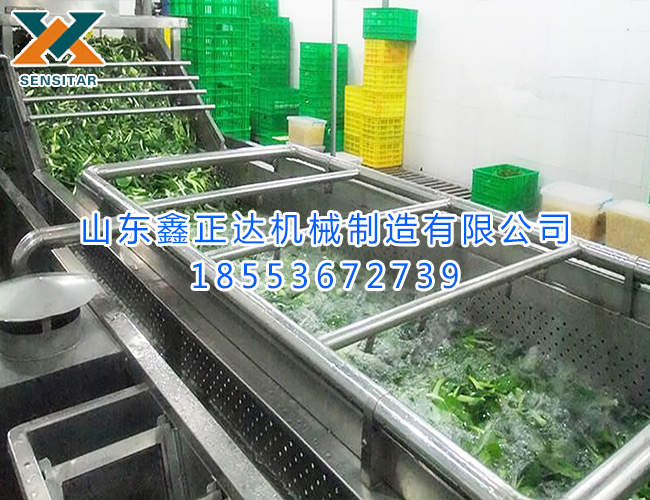 蔬菜清洗機(jī)